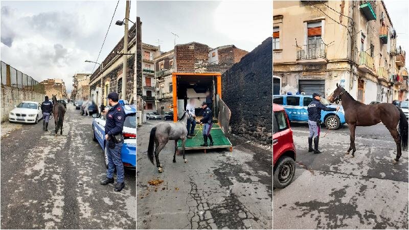 A S. Cristoforo cavalli mal tenuti e farmaci dopanti