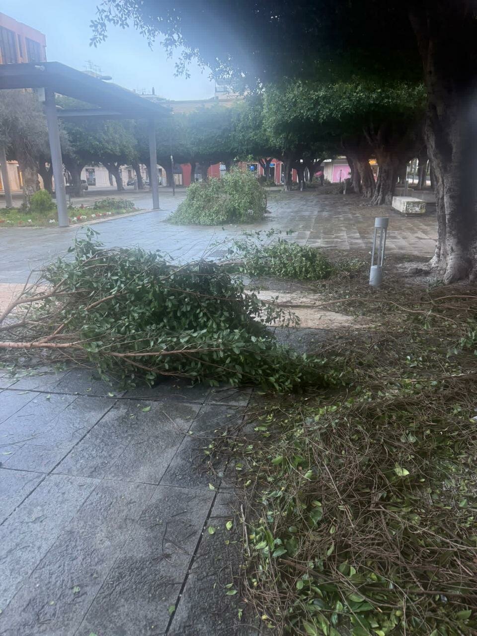 img-20260213-wa0007.jpeg img-20260213-wa0007.jpeg