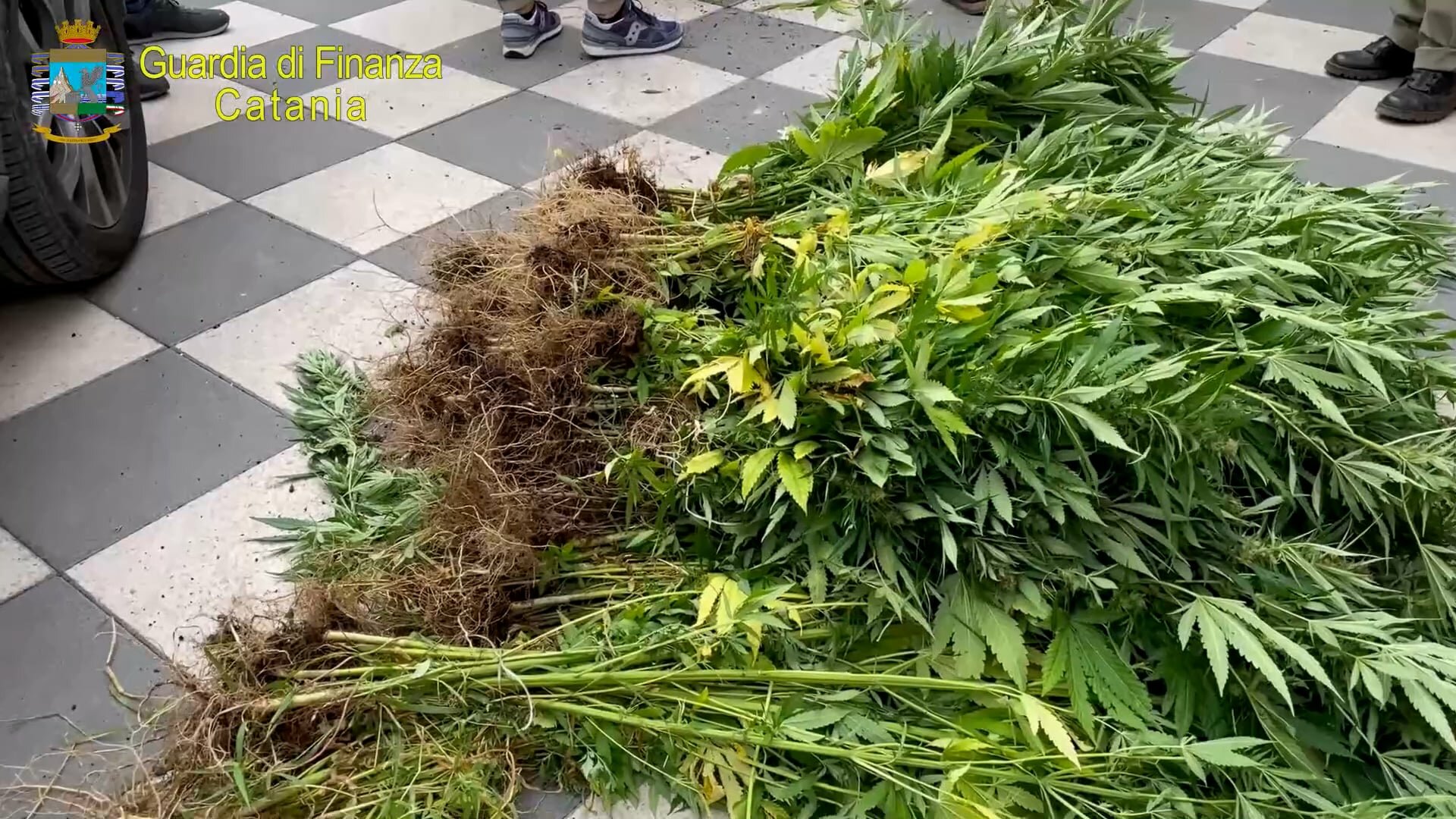 Coltivavano cannabis a Scordia