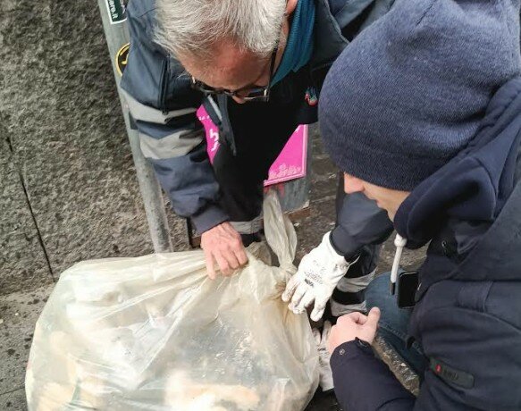 Vigili-Sherlock Holmes a Catania: identificati gli incivili della differenziata Vigili-Sherlock Holmes a Catania: identificati gli incivili della differenziata