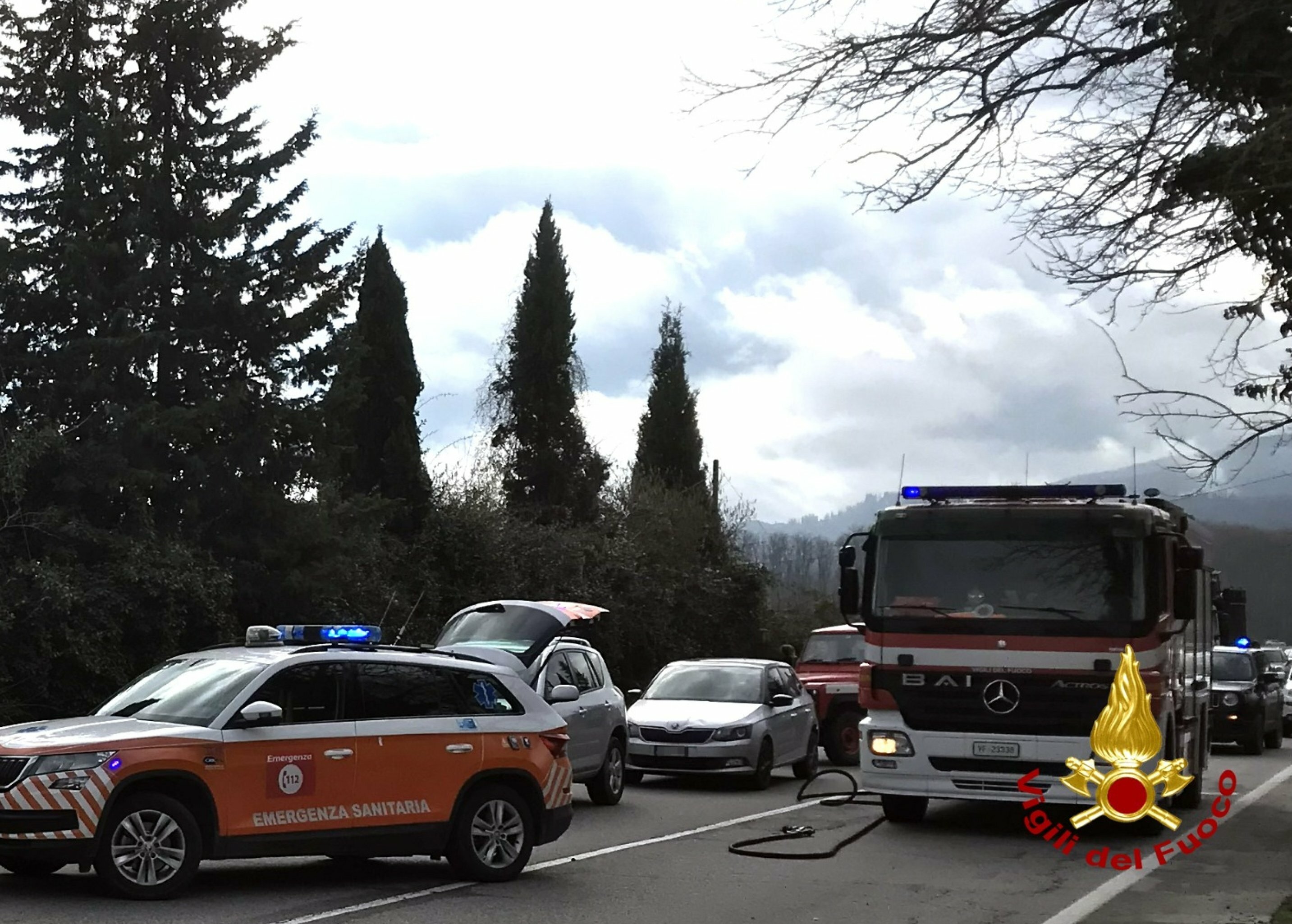 Muore travolto in moto da un cinghiale