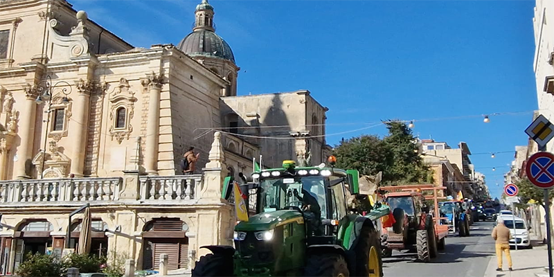 Arriva la mucca finta