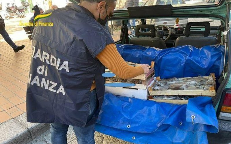 Pesce non tracciato e scarsa igiene: maxi sequestro