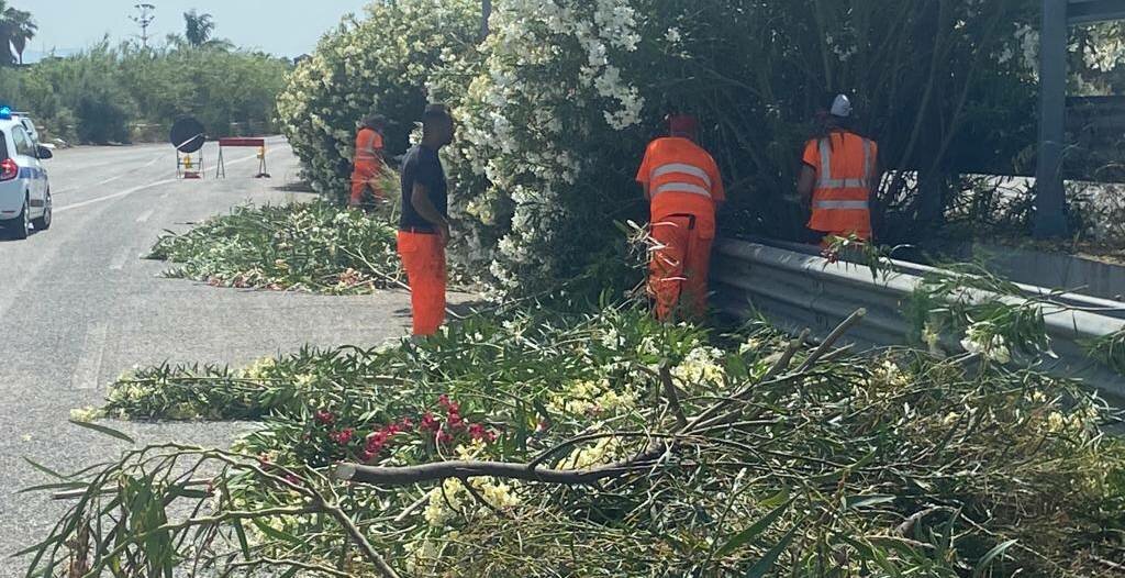 Lavori nella giungla: l'Asse attrezzato resta chiuso