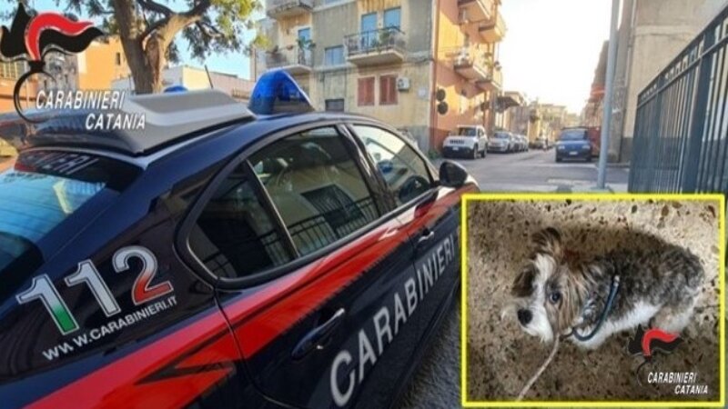 In casa col gas aperto: salvato col suo cane