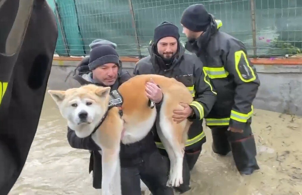 Notte tremenda all'Oasi del Simeto: il video dei soccorsi Notte tremenda all'Oasi del Simeto: il video dei soccorsi
