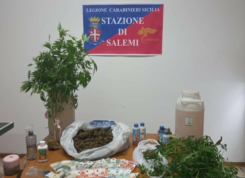 Gestore del b&b col pollice verde: arrestato