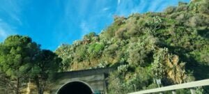 d4914804a4ad35e2b07370f9027bd982668bd019.jpeg d4914804a4ad35e2b07370f9027bd982668bd019.jpeg