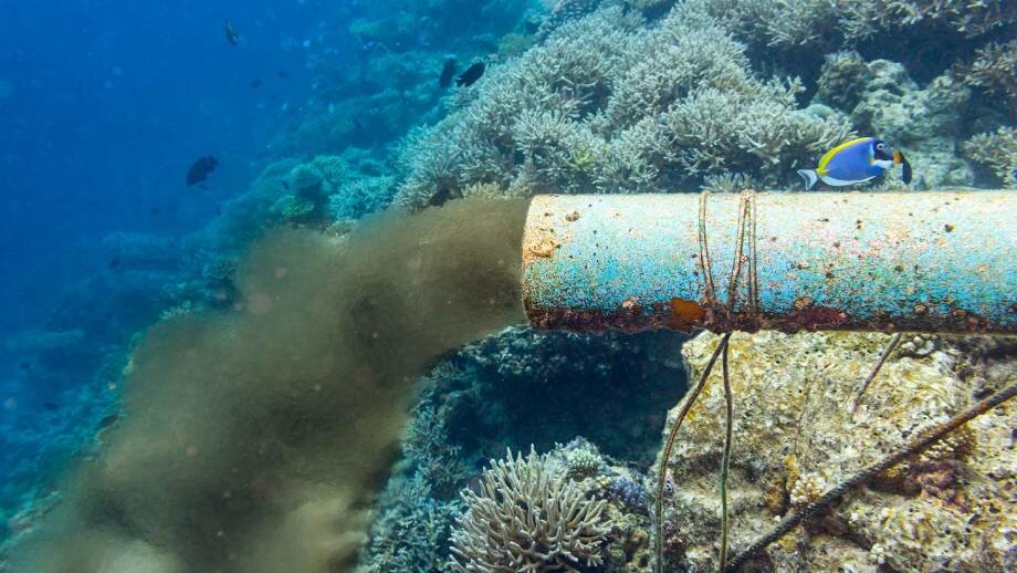 Pozza nauseabonda in mare: chiuso bar del lido