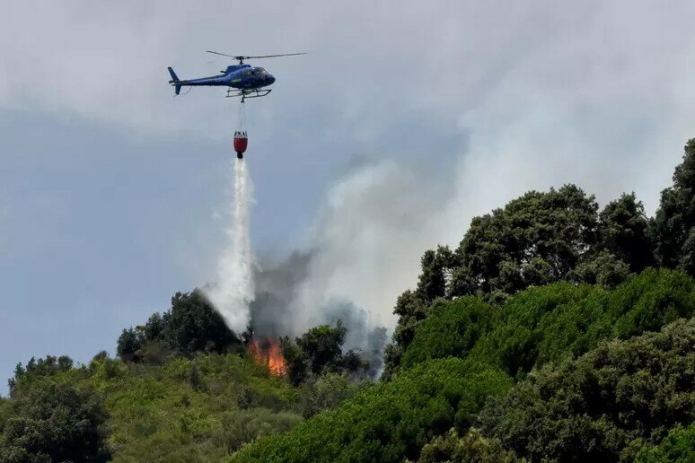 Belpasso, fiamme lambiscono la fabbrica Condorelli Belpasso, fiamme lambiscono la fabbrica Condorelli