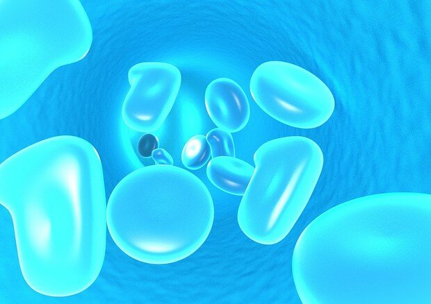 Scoperto il motore dei tumori: ora si possono fermare