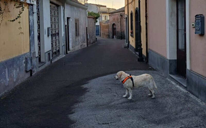 Ferragosto nero