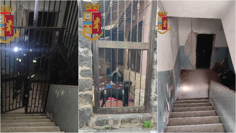 Rottweiler e cancello in ferro per sfuggire a polizia
