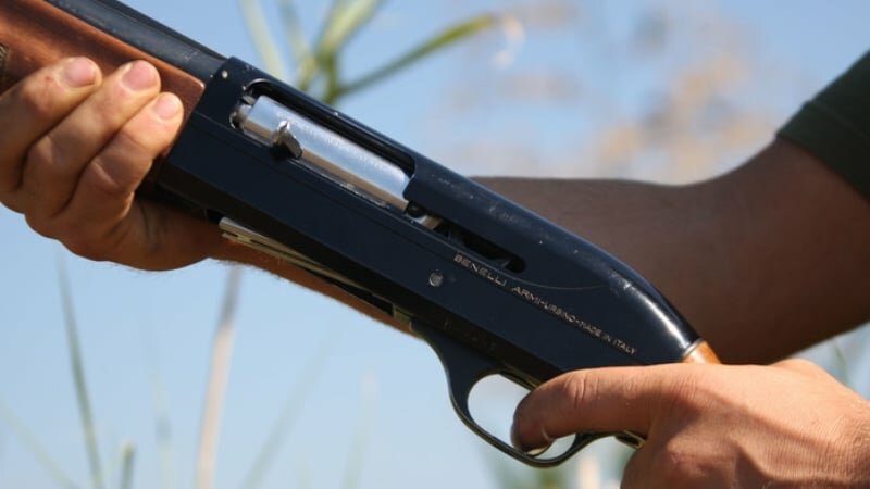 Spara agli uccelli e centra una casa