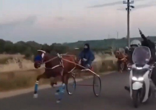 Palagonia: corse clandestine di cavalli e pistole in pugno Palagonia: corse clandestine di cavalli e pistole in pugno