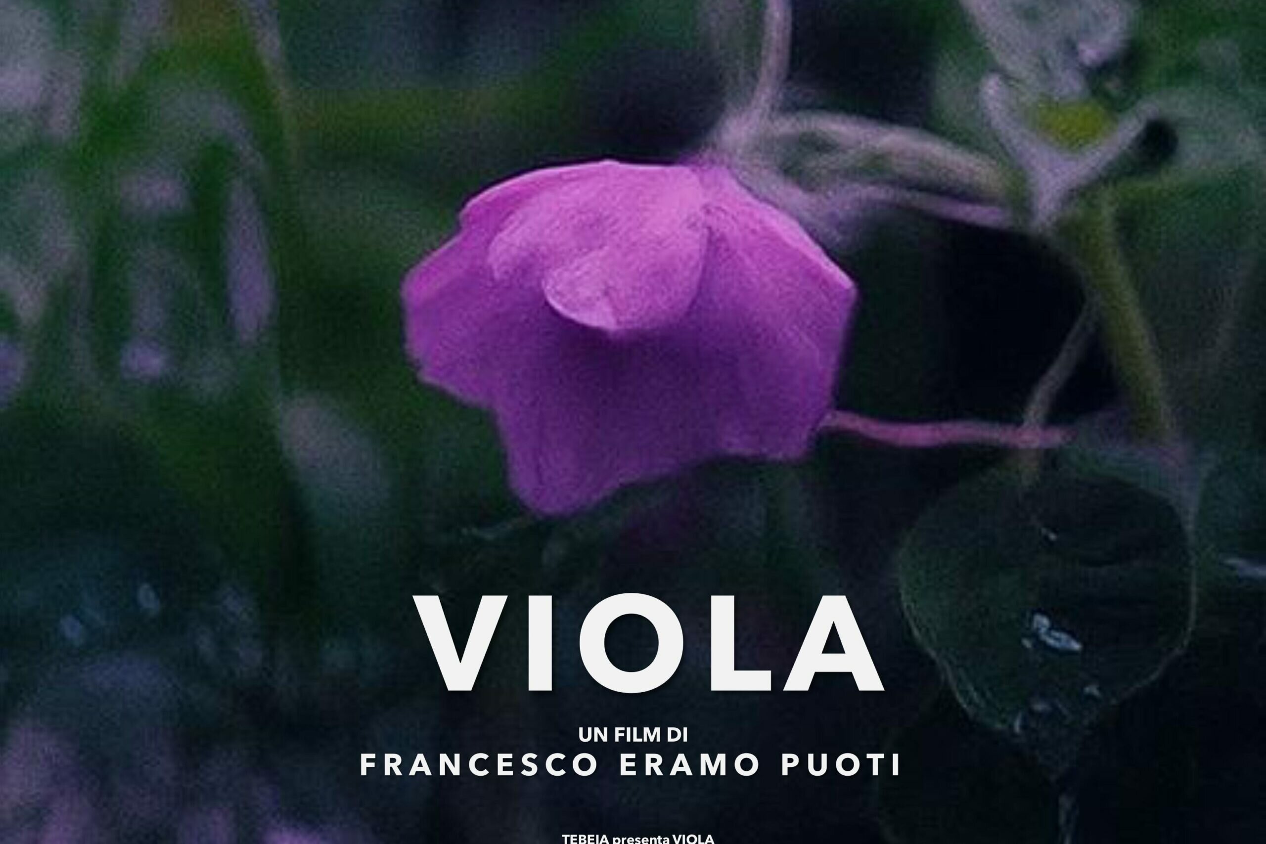 Un cortometraggio per capire l&rsquo;epilessia