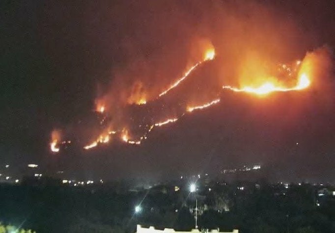 incendio-monreale.jpeg