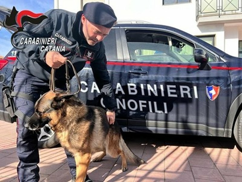 Patern&ograve;, a scuola col coltello e dosi di marijuana