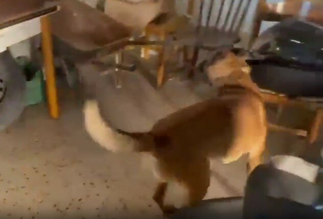 A San Cristoforo la droga era un (grosso) affare di famiglia