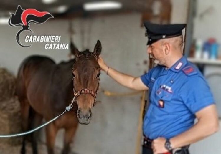 foto-belpasso-(ct)-2.jpeg