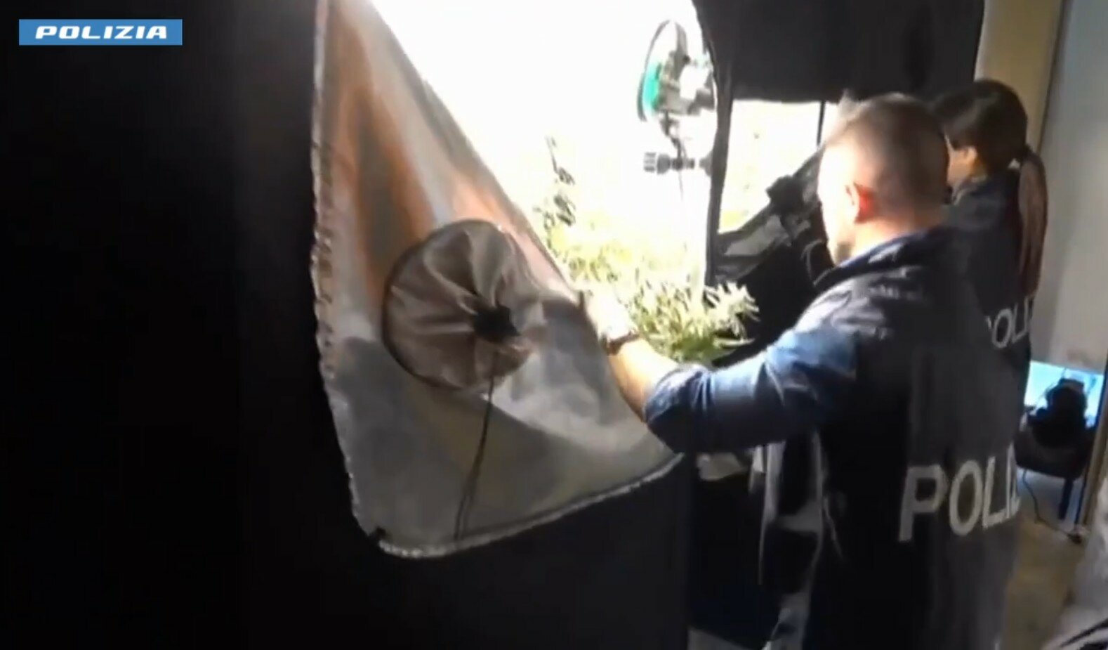 Catania: scoperto falsario col pallino della marijuana