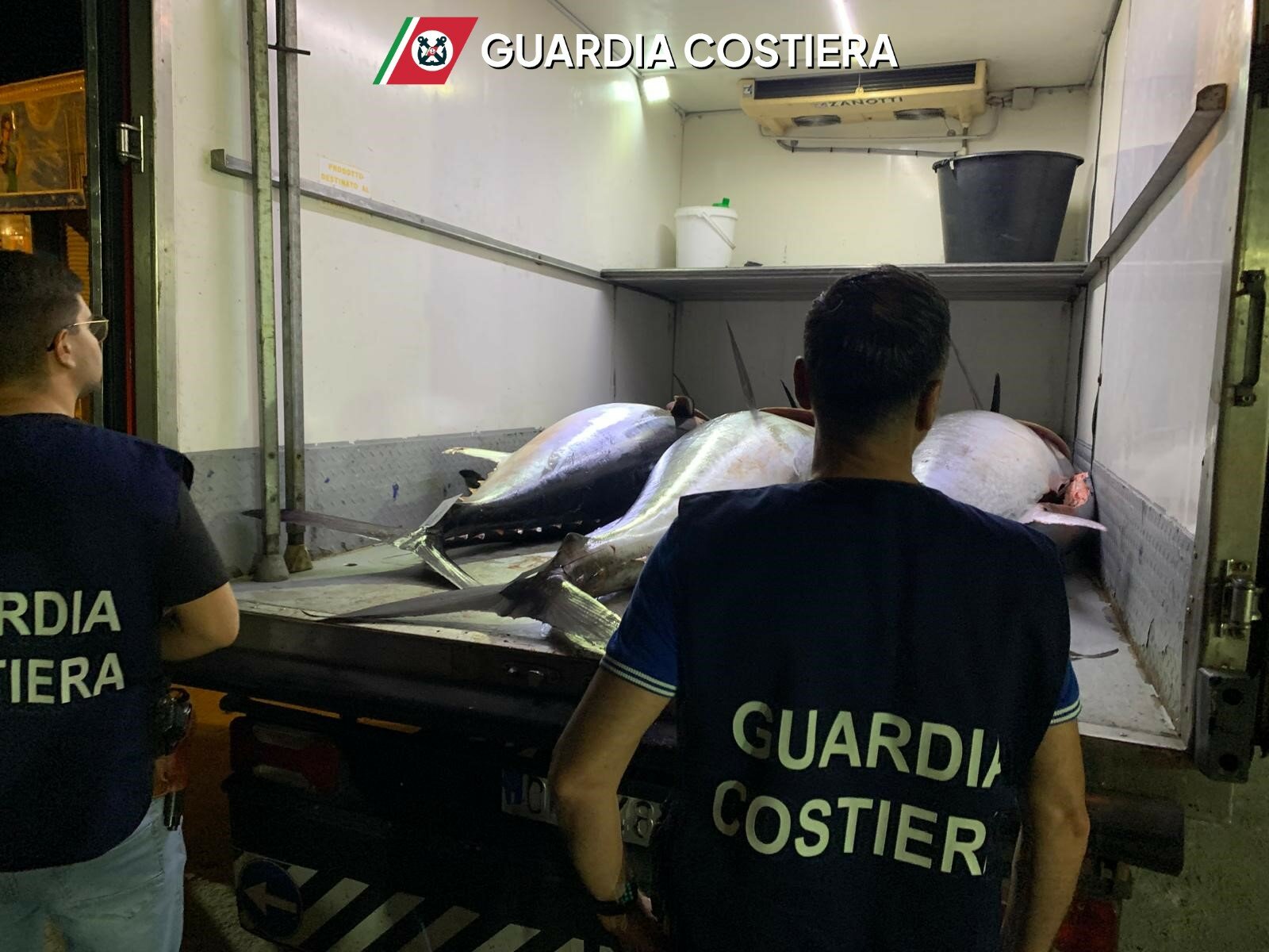Sequestrata una tonnellata di tonno rosso nascosta nel furgone