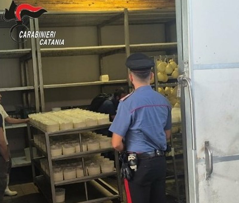 Lavoro nero e irregolarità sanitarie: blitz nel caseificio Lavoro nero e irregolarità sanitarie: blitz nel caseificio