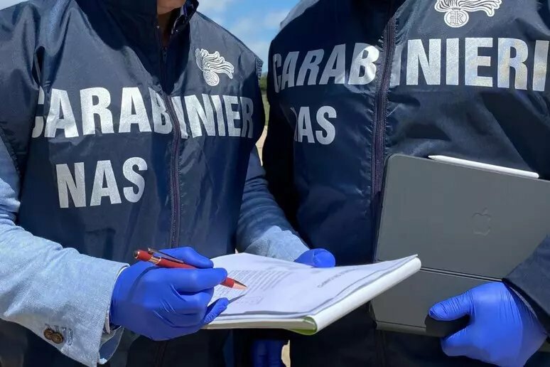 Insetti ovunque, fast food catanese da incubo Insetti ovunque, fast food catanese da incubo