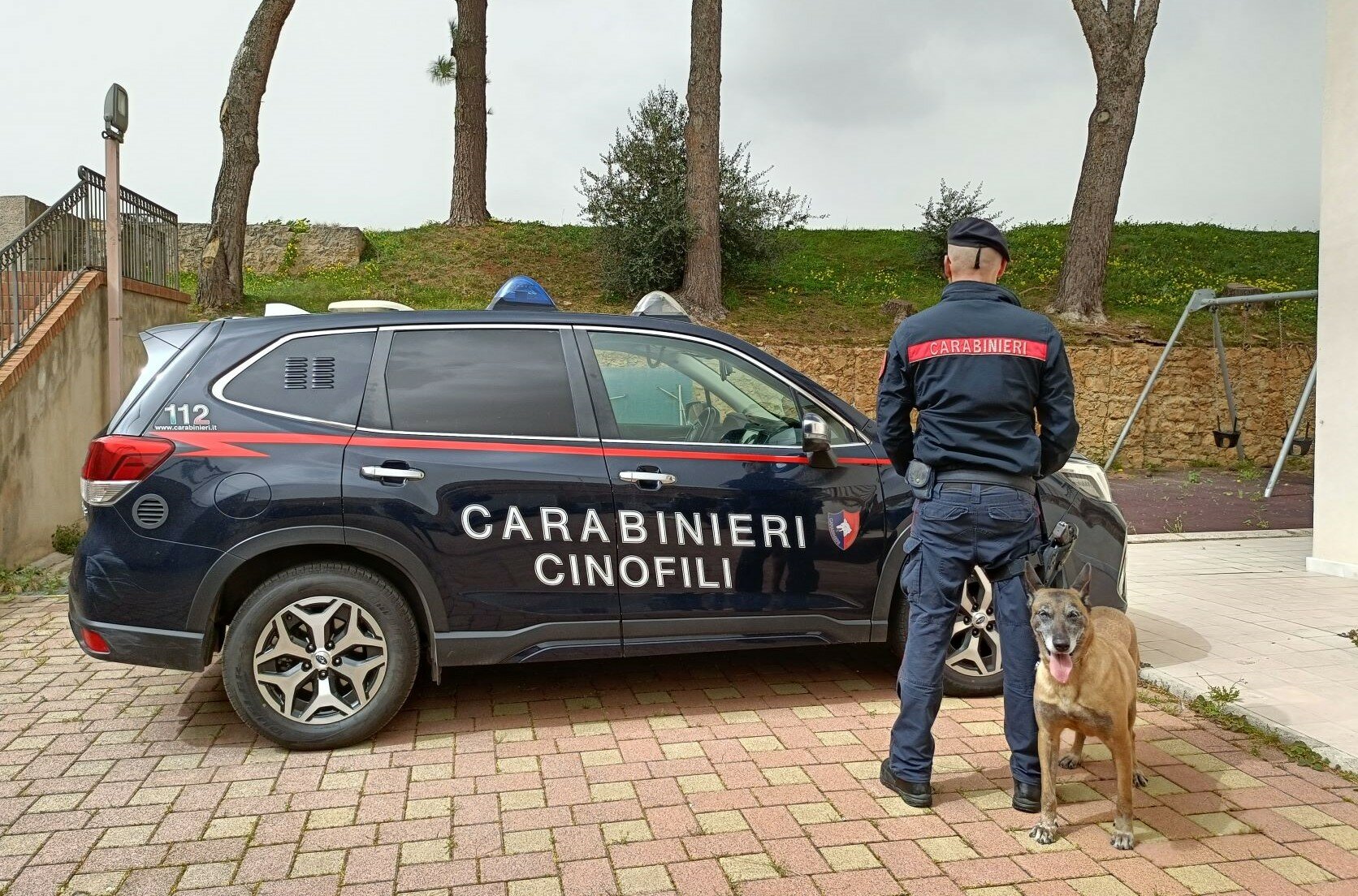 Sequestrato canile abusivo con 22 cuccioli