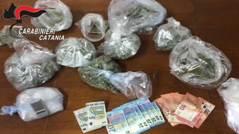 Nascondeva marijuana tra le sterpaglie