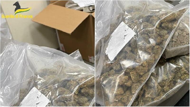 "Devo inviare un pacco". Dentro c'è la marijuana "Devo inviare un pacco". Dentro c'è la marijuana