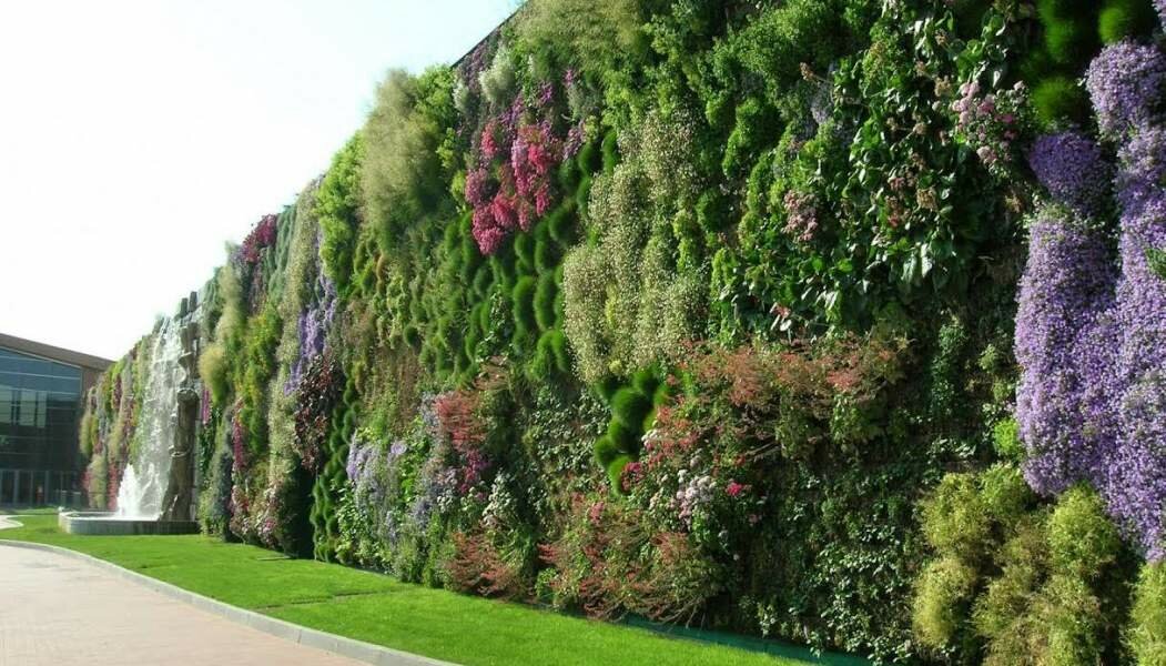 Catania vota: vincono i Giardini verticali a Librino