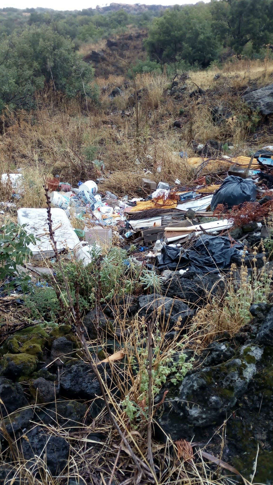 005-10.jpg 005-10.jpg