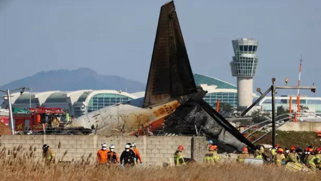 'Bird strike': l'aereo si schianta, 179 morti