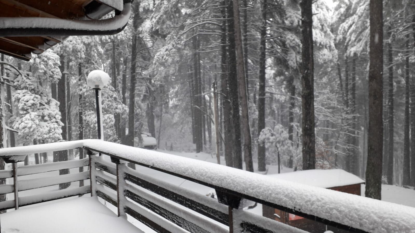 Arriva la primavera: neve e 8 gradi in meno