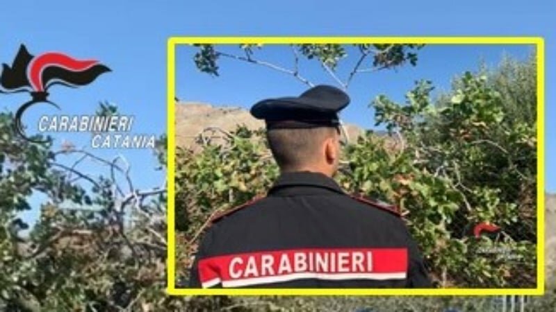 Tentano di rubare 50 chili di pistacchi: bloccati