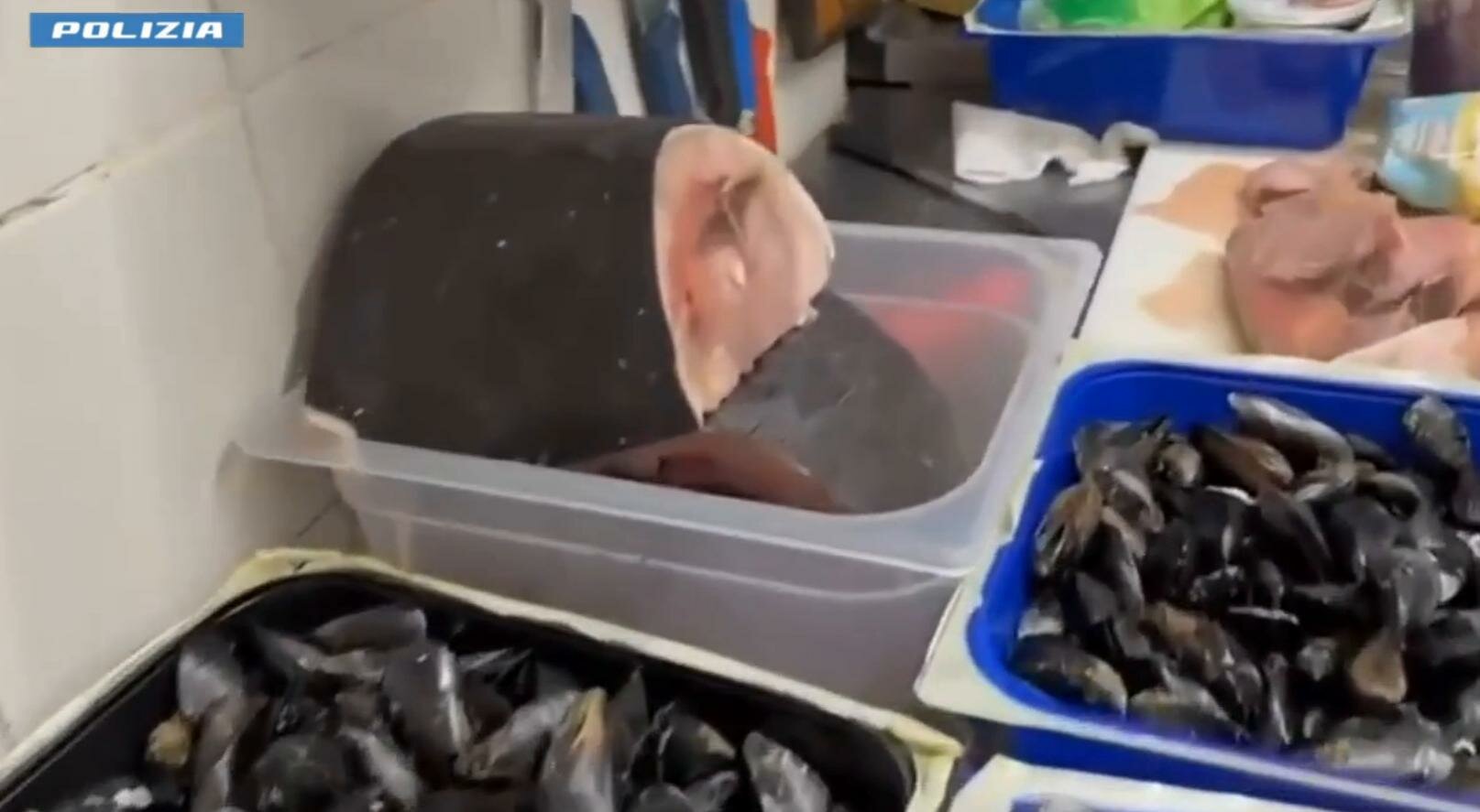 Distrutti 100 kg di cibo nel locale di San Giovanni Li Cuti