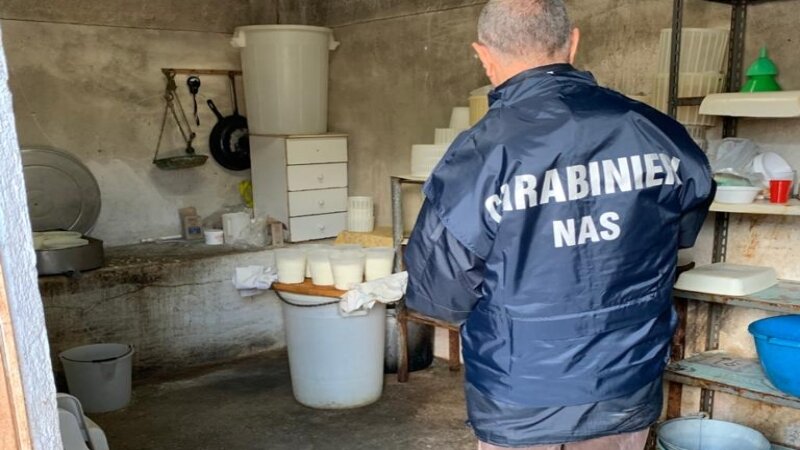 Nel caseificio formaggio scaduto e ricotta congelata