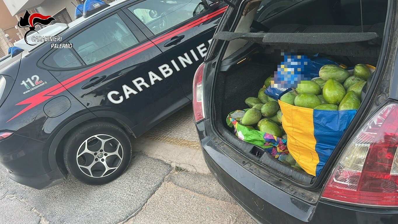 Partinico: bloccati con 120 chili di mango rubati, 3 arresti