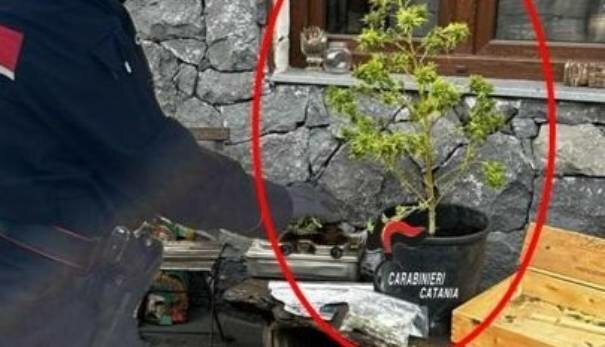 A Pedara il 'fumo' era sotto la legna A Pedara il 'fumo' era sotto la legna