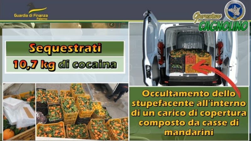 Cocaina nascosta tra le casse di mandarini
