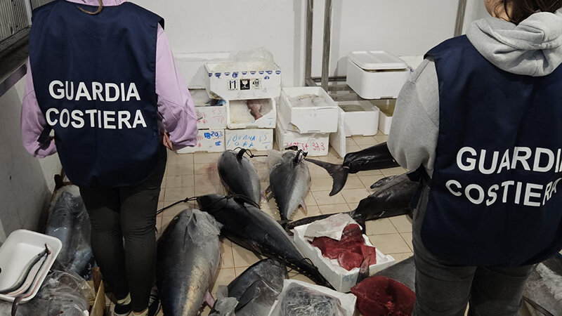 A Catania il tonno senza documenti