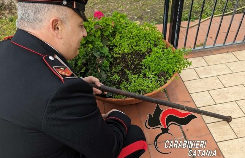 Trecastagni, minaccia i genitori con la spranga