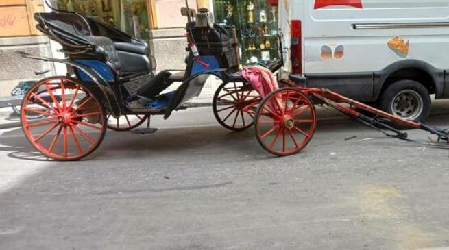 Cavallo pazzo piomba sulle auto: paura e feriti