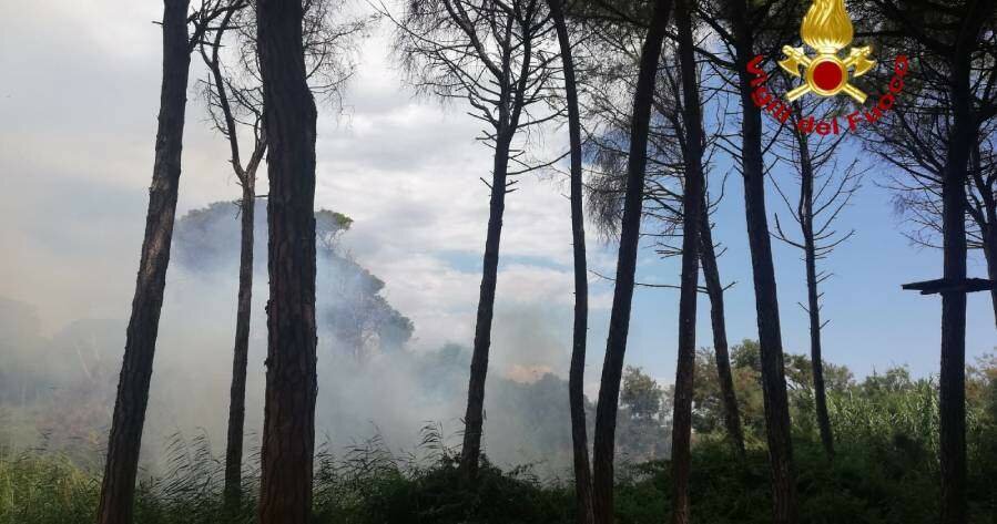 Grosso incendio alla Plaia, in fumo canneti e alberi