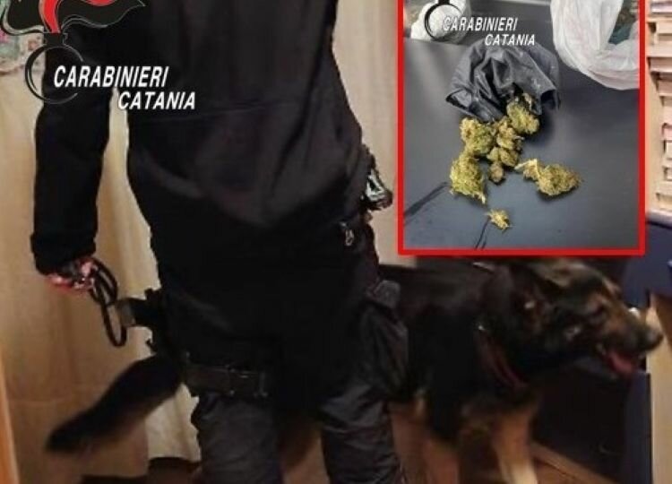 Spaccio all'ingrosso: denunciato 19enne catanese