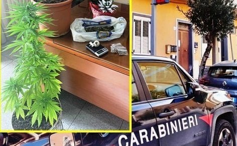Pedara, preso spacciatore
