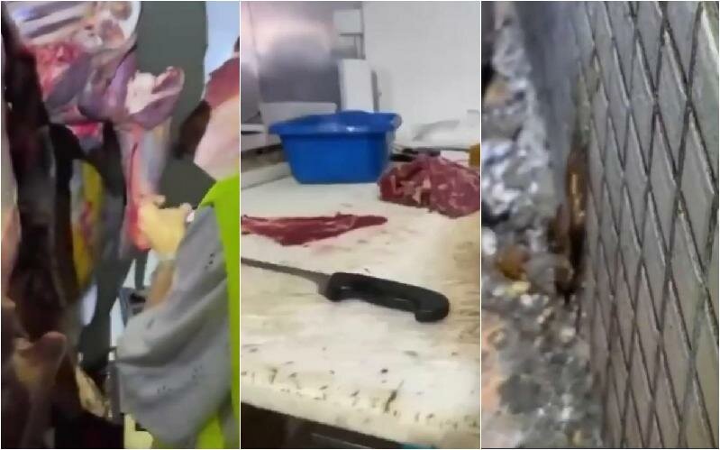 Muffa e blatte: chiusa macelleria di via Plebiscito