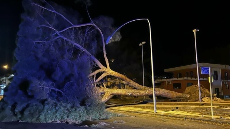 Forte vento, cade grosso pino a Giarre