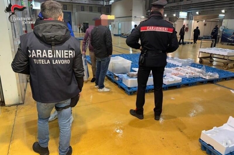 Maas, sequestrati 500 kg di pesce non tracciato